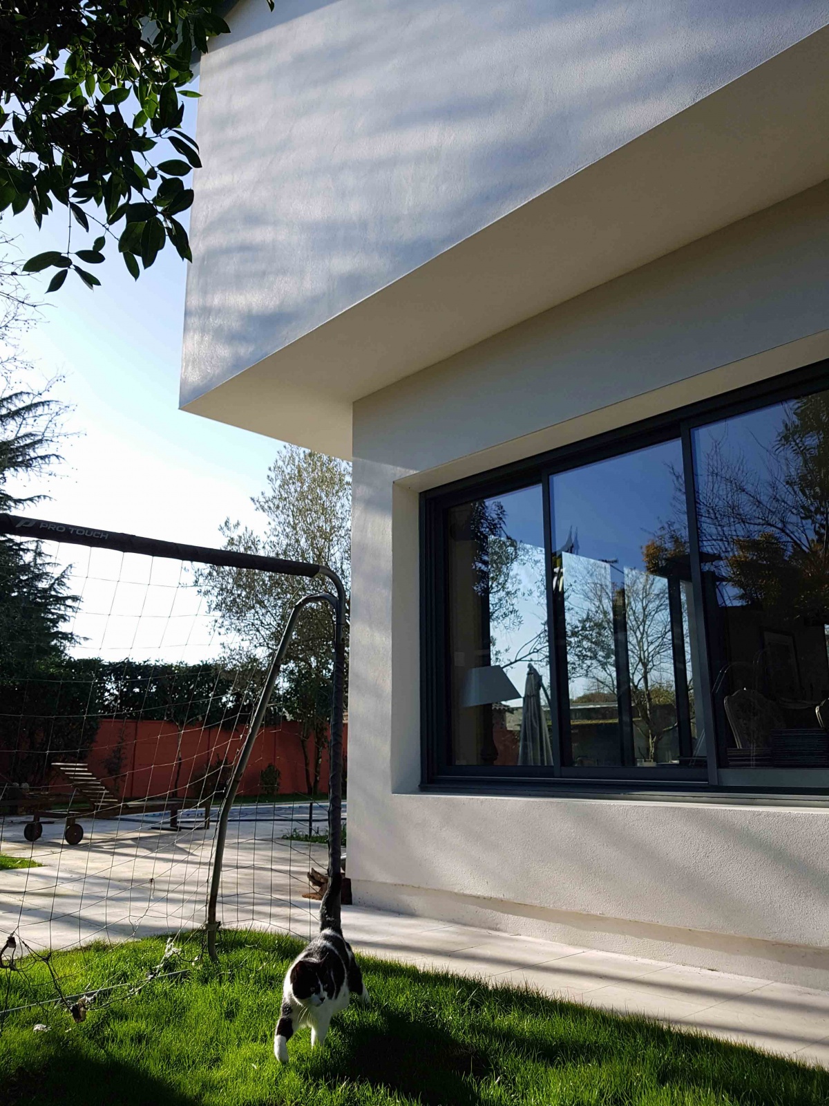 Extension suspendue & r�habilitation compl�te : WEB_20190222_161029