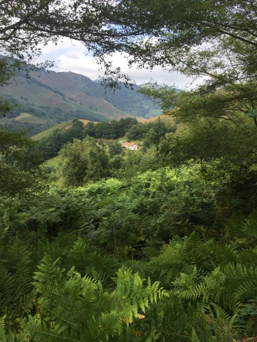 MS01-Maison basque en flanc de montagne