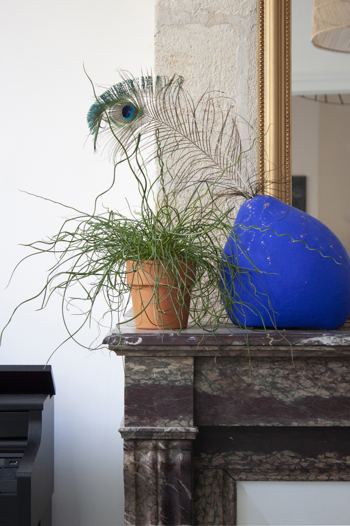 D�coration d'appartement AYR : image_projet_mini_108657