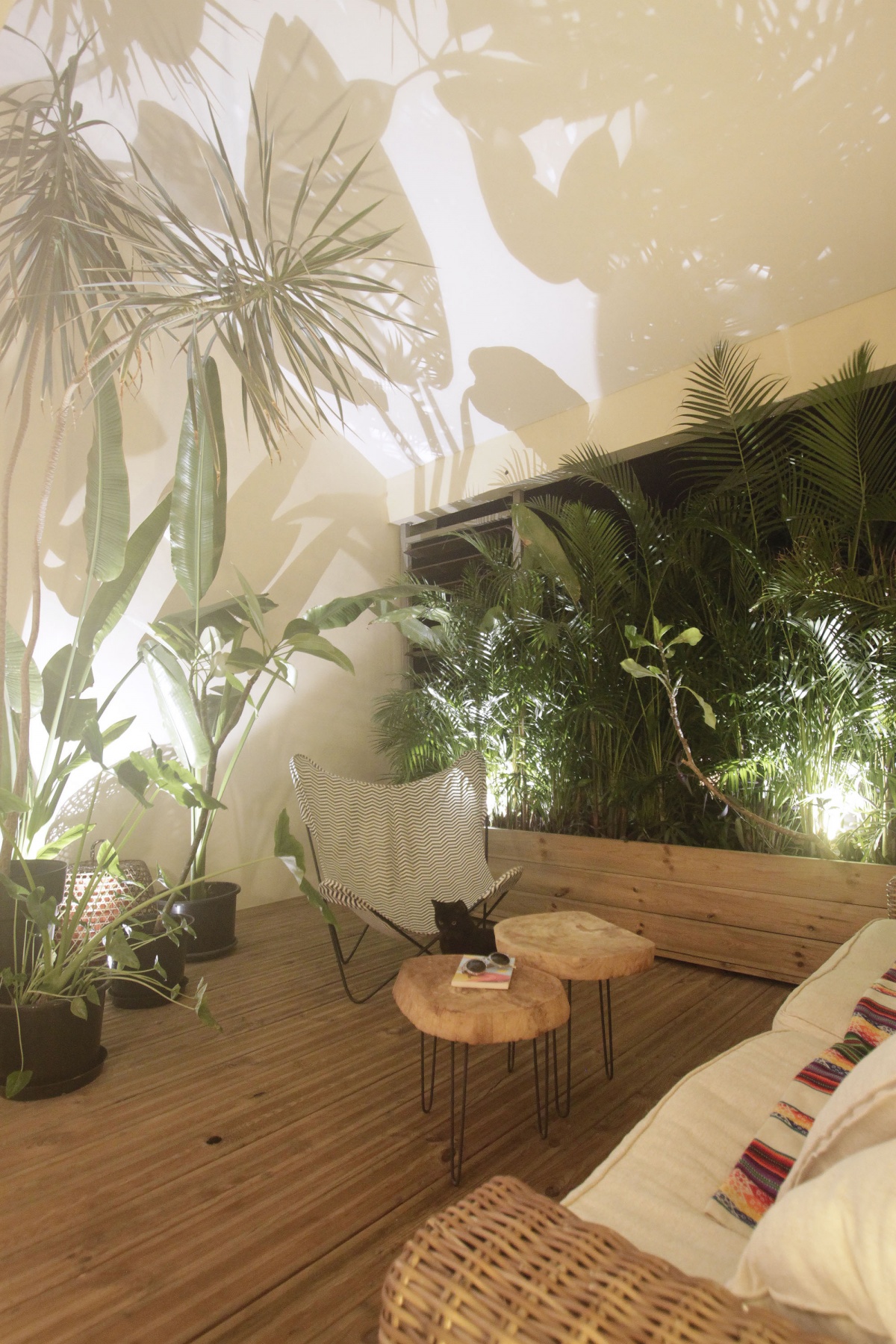 R�novation appartement ROQ : af _MG_6677 COPIE