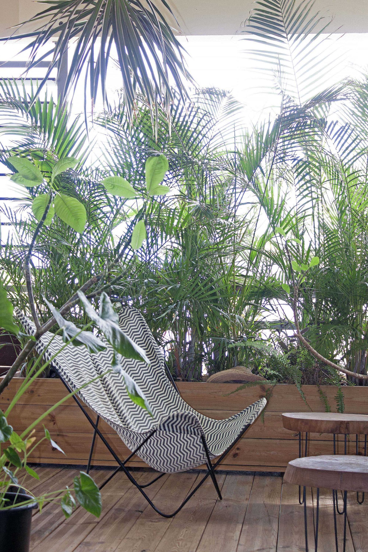 R�novation appartement ROQ : af FdAUTEUIL