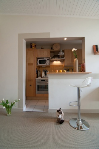 Du volume dans une �choppe Bordelaise : dolfus_web_6