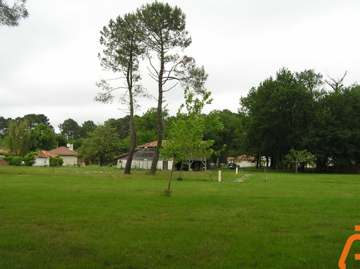 A l'or�e du bois : image_projet_mini_20055