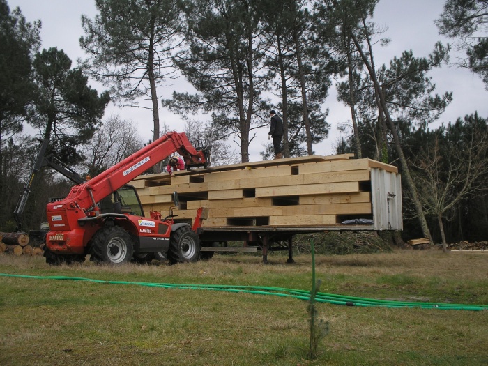 A l'or�e du bois : P2080012.JPG