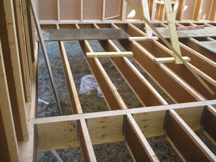 A l'or�e du bois : P2180008.JPG