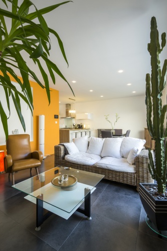 Sur�l�vation et r�am�nagement  d'une maison d'habitation : salon3