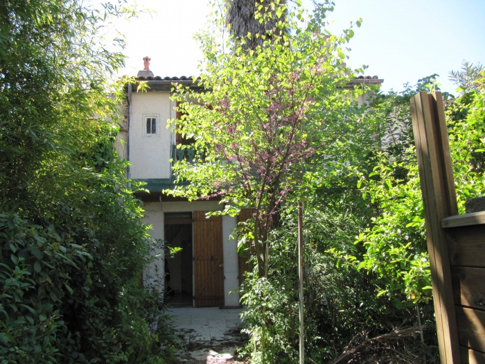 R�novation maison en fond de jardin : IMG_3041 1.JPG