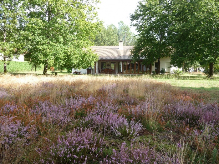 Construction d'une maison : Fa�ade arri�re