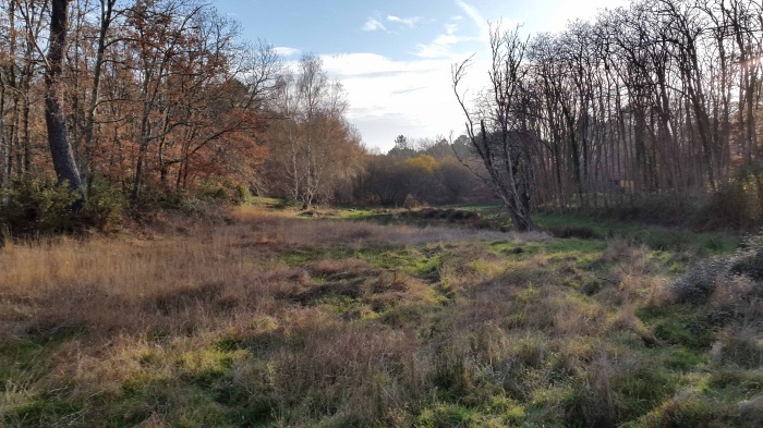 Maison � auvents : Terrain