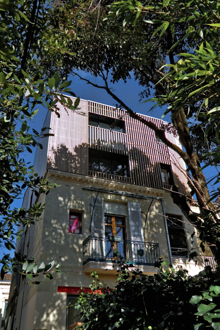 La canop�e : CIMG4253