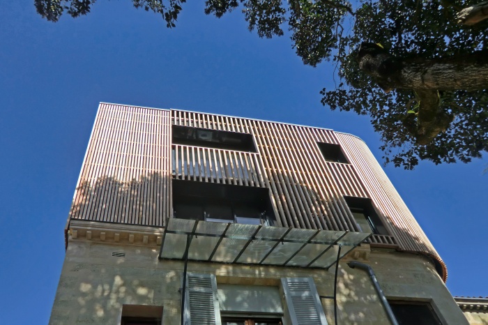 La canop�e : CIMG4247