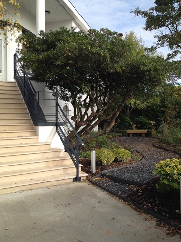 Transformation d'une maison de ville en cabinet m�dical : IMG_1823