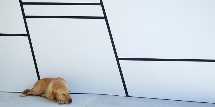 Pas � pas : Y039_05